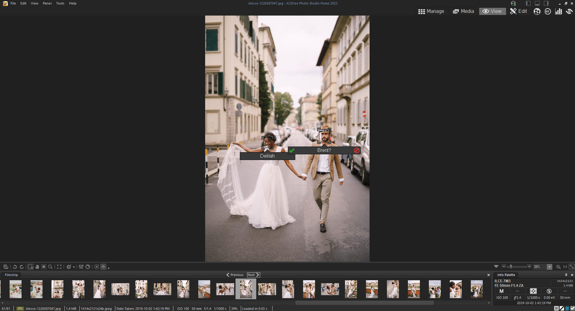 Alternative to Picasa ACDSee Photo Studio Home